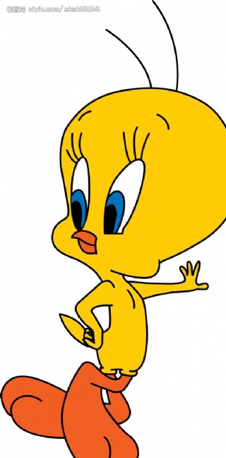 tweety 金丝雀图片