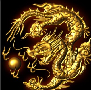 黄金龙图片